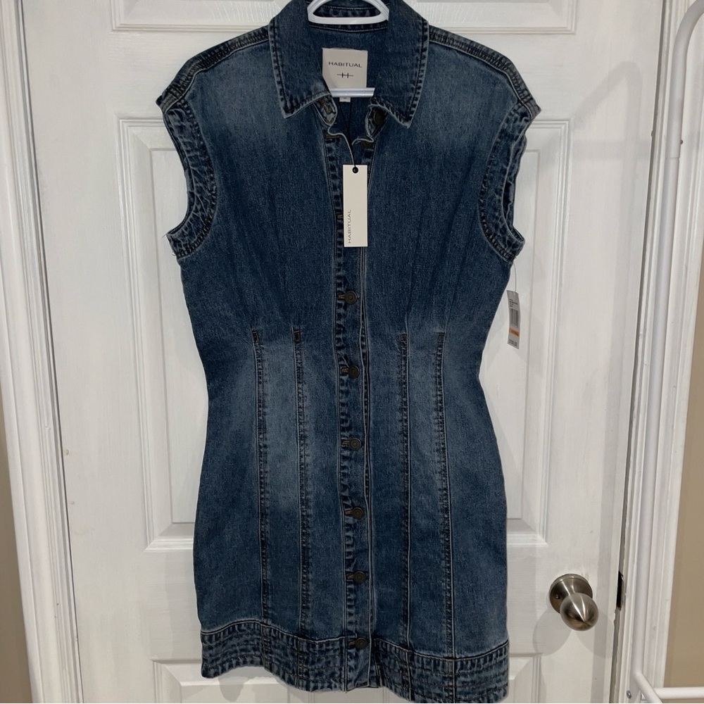 Habitual Denim Button-Down Dress